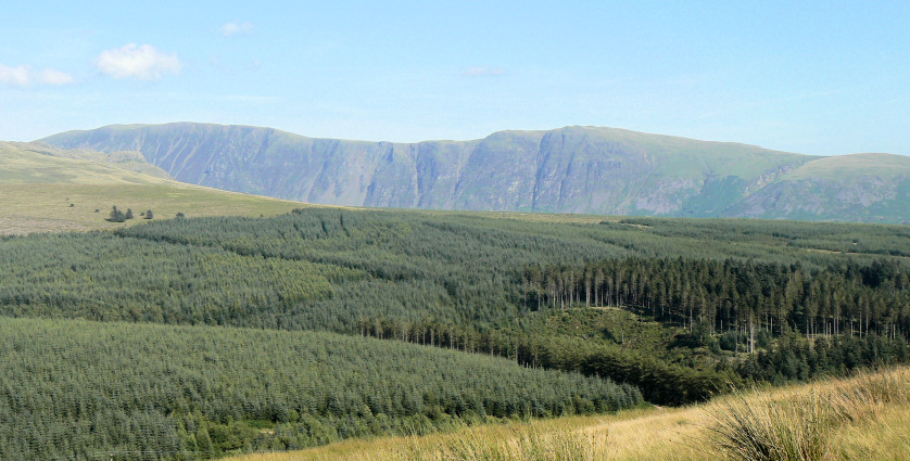 The Screes The Screes